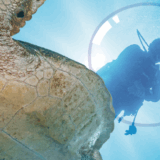 Plongée pour tous au lycée professionnel François de Mahy