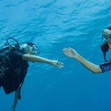 Première plongée dans la grande bleue pour nos élèves de première Bac Pro !