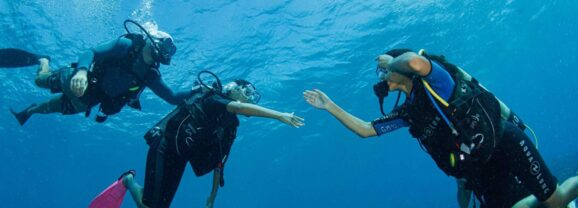 Première plongée dans la grande bleue pour nos élèves de première Bac Pro !