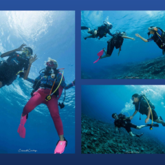 Première plongée dans la grande bleue pour nos élèves de première Bac Pro !