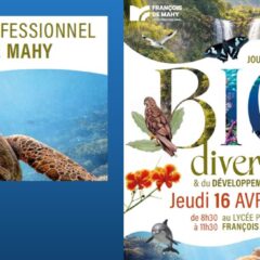 Une journée de la biodiversité le jeudi 16 avril dans notre lycée