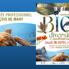Une journée de la biodiversité le jeudi 16 avril dans notre lycée