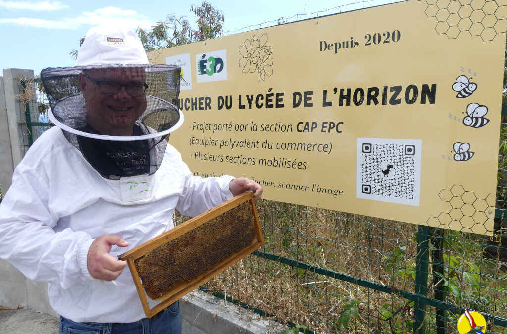 Extraction du miel du rucher de l’Horizon