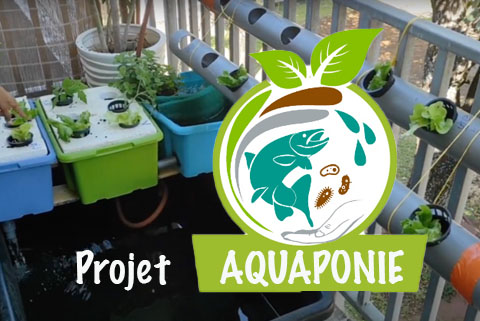 Le parc écolo – Un projet aquaponique au lycée