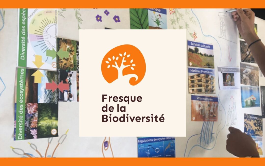 Les élèves du Lycée Isnelle Amelin relèvent le défi de la Fresque de la Biodiversité !