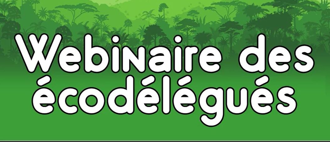 Webinaire Éco-Délégués : Découverte des Projets Durables à l’Échelle de l’Île