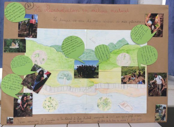 Projet Life + Forêt sèche :  les élèves de 2nd 8 publient leur production sur le blog de SVT