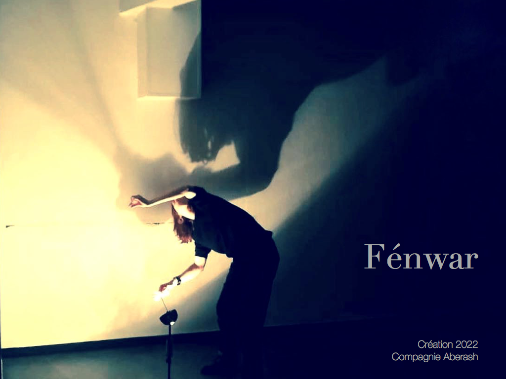 Projet artistique « Fenwar »
