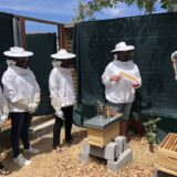 Atelier Apiculture: Bientôt une 3ème ruche