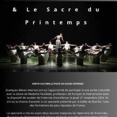 Sortie culturelle pour les internes