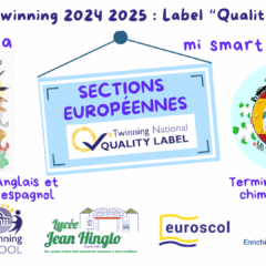 Label Qualité National eTwinning