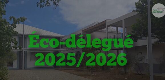 🌍💡 Deviens acteur du changement en étant Eco-Délégué