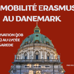 Job shadowing au Danemark