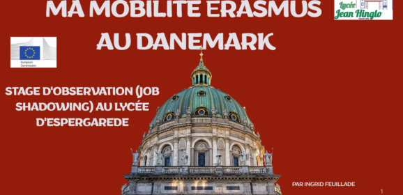 Job shadowing au Danemark