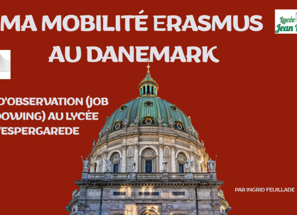 Job shadowing au Danemark