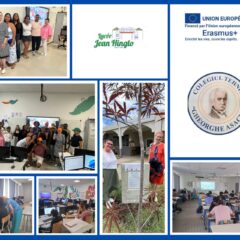 Dissémination invitée experte et job shadowing Gheorghe Asachi