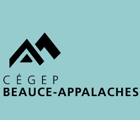 Mobilité Réunion Québec CEGEP