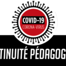 COVID-19 et continuité pédagogique