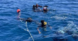 « La mer en équations » : la physique en immersion pour les élèves de 1ère spécialité Physique-Chimie !