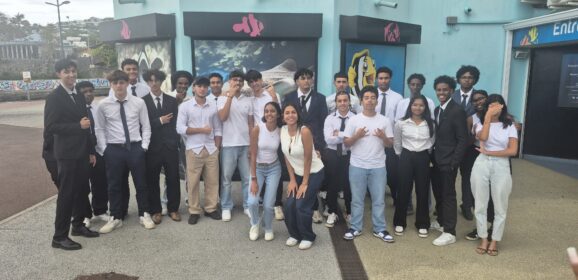 Les visites professionnelles des TSTMG1