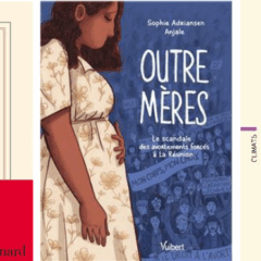 Lutte contre les violences faites aux femmes : sélection de livres et magazines récents à voir et à emprunter au CDI