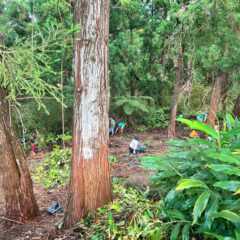 Nos éco-délégués en action