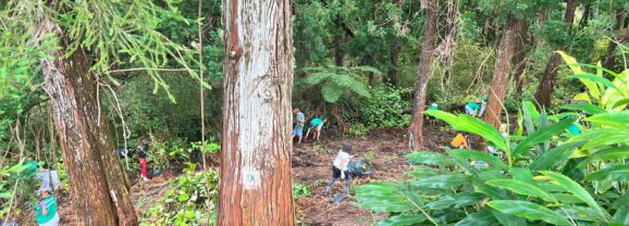Nos éco-délégués en action