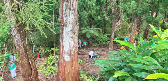 Nos éco-délégués en action