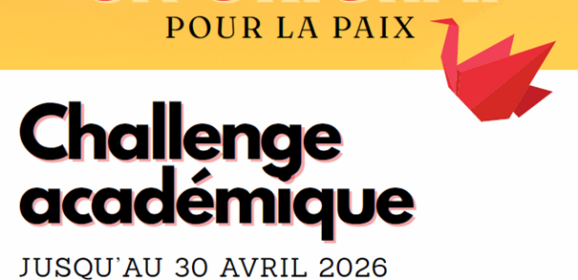 Un origami pour la paix : objectif atteint !