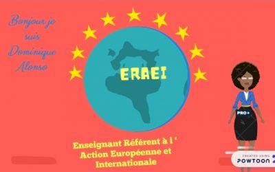 Les missions de l&rsquo;ERAEI du lycée