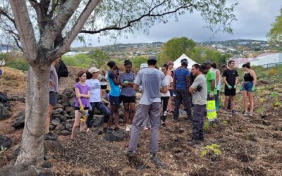 la classe ATE et les éco-délégués organisent une belle action en faveur de la biodiversité