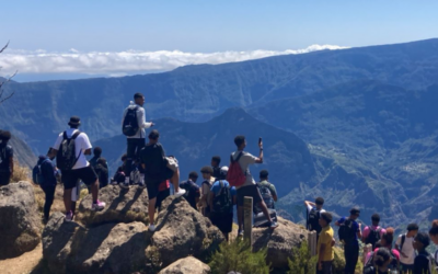 Les 1ere BPL et BPOTML en randonnée dans les Hauts de l’ouest au Maido