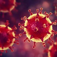 2ème cas de Coronavirus decelé