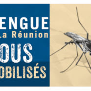 Information Dengue