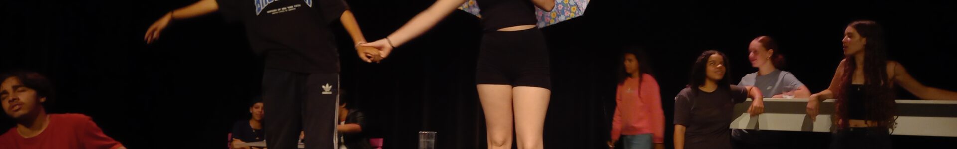 Option facultative Théâtre : la restitution