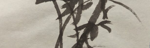 Une exposition autour de la culture chinoise au CDI