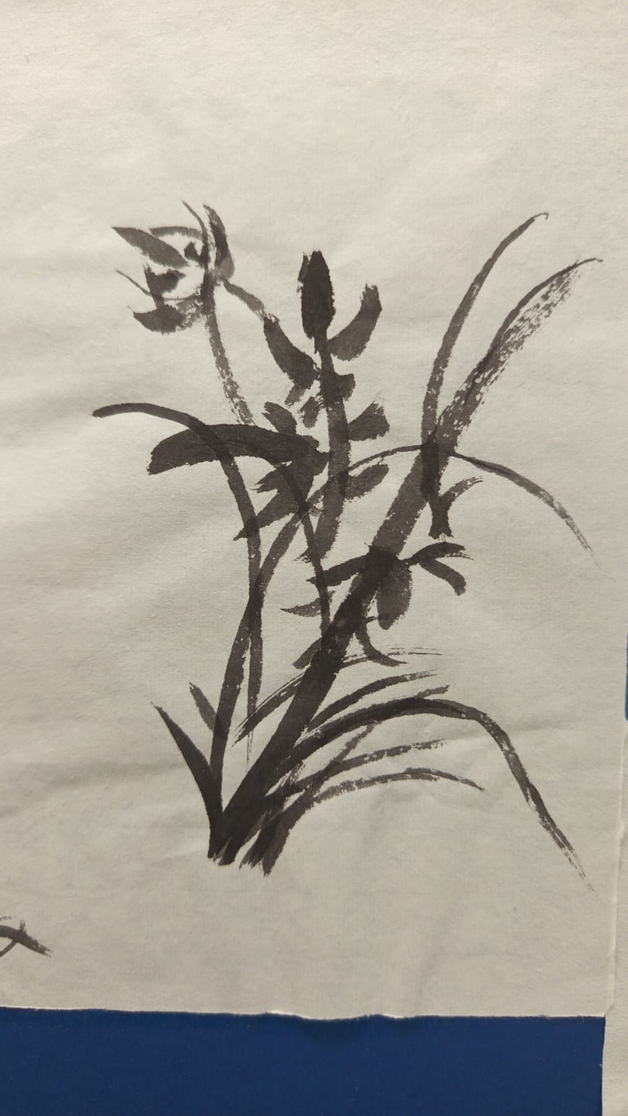 WhatsApp Image 2026-04-17 at 08.04.10