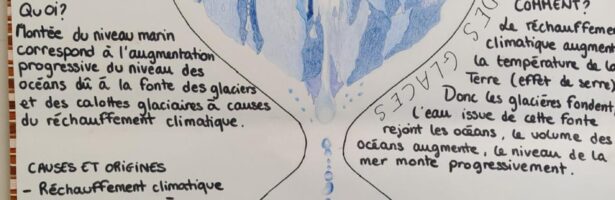 Exposition au CDI : le climat expliqué par les élèves