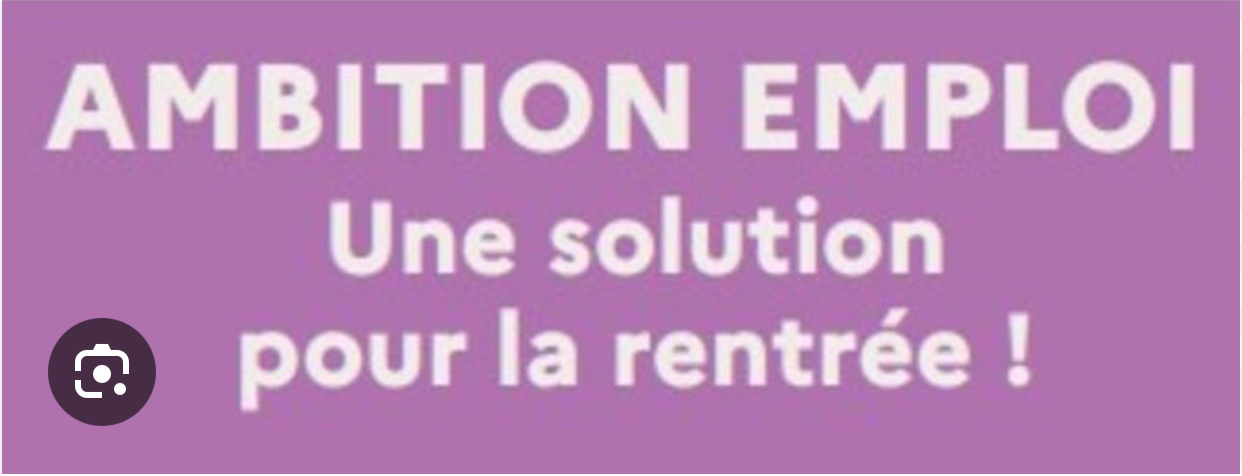 Ambition Emploi : information collective et entretiens individuels