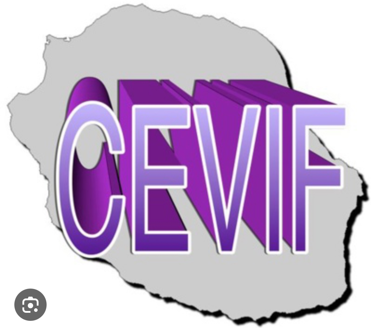 Action phare du lycée sur les Violences IntraFamiliales avec le CEVIF