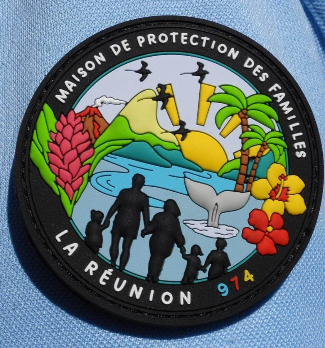 Intervention de la Maison de la Protection des Familles de la Gendarmerie Nationale sur les Violences IntraFamiliales