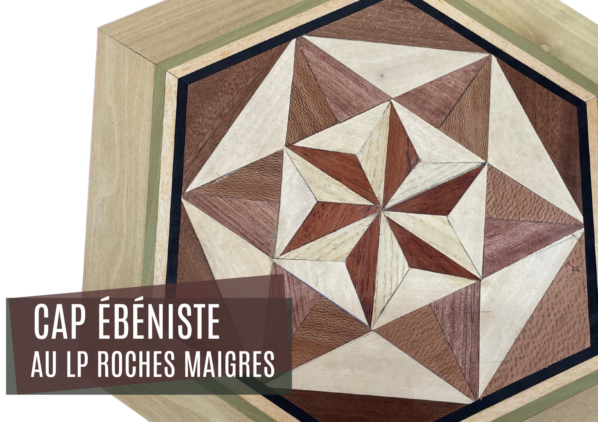 Le CAP Ébéniste au LP Roches Maigres