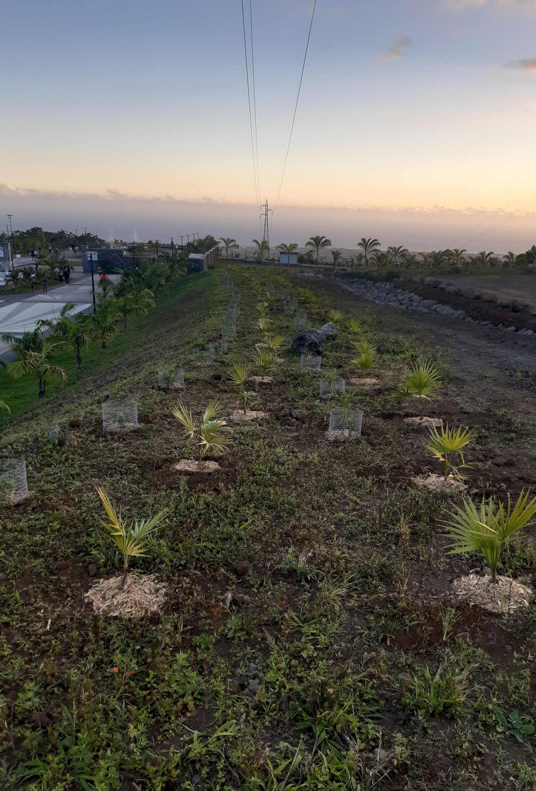 Lycée Roland Garros