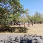 Groupe d'élève qui marche dans la forêt d'Etang salé vers le parking des para