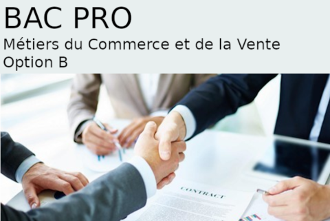 Bac Pro Métiers Du Commerce Et De La Vente Option B Prospection ...