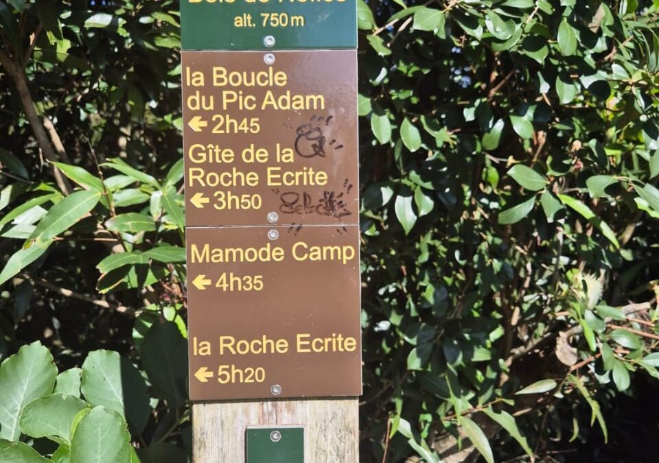 Journée d’intégration et de cohésion des BTS GPME