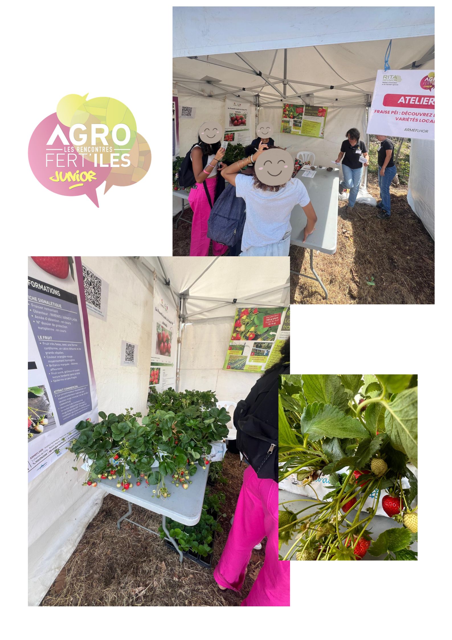 Retour sur le Salon Agrofert’îles