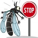 Note d’information :  lutte contre les maladies transmises par les moustiques