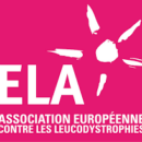Journée ELA – projet élèves bureau Association Sportive – mercredi 10/04/24 13H