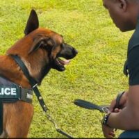 2026 Je filme le métier qui me plaît – Soutenez nous en aimant notre vidéo !